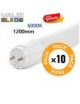 Pack de 10 Tubos Led T8 120cm 18W de Cristal 6000k con Conexión un Lateral y Envío Gratis.